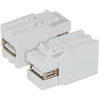 Efb Elektronik EFB Keystone Einbauadapter USB2.0 A - A, wei