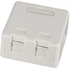 Efb Elektronik EFB Keystone Verteilerbox Aufputz, 1-Port, Staubschutz selbstschlieend