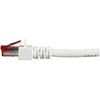 EFB EFB- Elektroninis ECOLAN - Patch- Kabelis - RJ-45 (M) iki RJ-45 (M) - 30 m - Poros metalinėje folijoje (PiMf) - CAT 6 - Be halogenų - baltas (K5518.30)