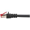 Efb Elektronik EFB patchcord, S/FTP, Cat.6, LSZH, 50m (K5515.50)