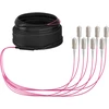 Efb Elektronik EFB Trunkkabel U-DQ(ZN)BH OM4 8G (1x8) SC-SC 20m Dca LSZH
