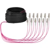 Efb Elektronik EFB Trunkkabel U-DQ(ZN)BH OM4 12G (1x12) LC-LC 20m Dca LSZH