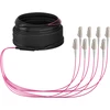 Efb Elektronik EFB Trunkkabel U-DQ(ZN)BH OM4 8G (1x8) LC-LC 30m Dca LSZH