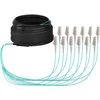 Efb Elektronik EFB Trunkkabel U-DQ(ZN)BH OM3 12G (1x12) LC-LC 10m Dca LSZH
