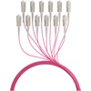 Efb Elektronik EFB Trunkkabel U-DQ(ZN)BH OM4 12G (1x12) SC-SC 120m Dca LSZH