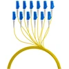Efb Elektronik EFB Trunkkabel U-DQ(ZN)BH OS2 12E (1x12) LC-LC 170m Dca LSZH G657A1