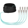 Efb Elektronik EFB Trunkkabel U-DQ(ZN)BH OM3 8G (1x8) SC-SC 40m Dca LSZH