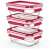 EMSA Clip&amp;Close Glass Food Storage Box 3 vnt