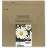 Epson 18 EasyMail "Daisy" Ink Multipack (4 spalvų)