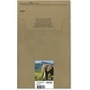 Ink Epson 24XL MultiPack (juoda, žalsva, rausva, geltona, nuotrauka žalsva, nuotrauka rausva)