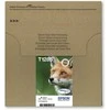 Epson T1285 EasyMail „Fox“ rašalo daugiapakopė (4 spalvų)