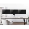 Equip 650134 monitoriaus laikiklis arba stovas Stalas Juoda