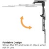 Equip 650375 televizoriaus laikiklis 139,7 cm (55″) Juoda