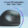 Pelė Equip DM 2.4GHz+BT 6 Przycisk Prawa Juodas (245120)