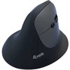 Pelė Equip DM 2.4GHz+BT 6 Przycisk Prawa Juodas (245120)