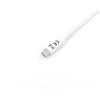 USB kabelis Equip USB-C - USB-C 2 m Balta (128362)