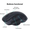 Pelė Equip Komfortmaus Wireless Dual Mode 6Btn Prawa Juodas (245121)