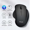 Pelė Equip Komfortmaus Wireless Dual Mode 6Btn Prawa Juodas (245121)