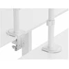 Laikiklis Equip Equip Tischhalterung 17"-32"/ 2TFT je 9kg 360° Gasfeder ws