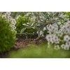 Antgalis Gardena Micro Drip System