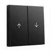 GIRA 3294005 Wippe 2f Pfeil System 55 Juodas m