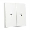 GIRA 329403 Wippe 2f Pfeil System 55 Reinweiß