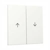 GIRA 329427 Wippe 2f Pfeil System 55 Reinweiß m