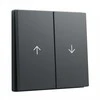 GIRA 329428 Wippe 2f Pfeil System 55 Anthrazit