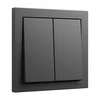 GIRA 329528 Wippe 2f System 55 Anthrazit