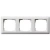 GIRA Standard 55 - Baltas - Thermoplastic - Screwless - 80.7 mm - 223.3 mm - 1.14 cm