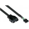 GoodConnections Good Connections Adapteris Pin-Header USB3.0St-USB2.0Bu 0,3m