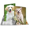 Herma Sammelmappe A3 Hunde polipropilenas (7144)