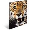 Laikiklis „Herma Folder A3 Leopard“ (7142)