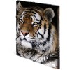 Laikiklis „Herma Folder A3 Leopard“ (7142)