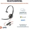 Ausinės Hewlett Packard (HP) POLY BW 3210 USB-C HS +USB-C/A - (BULK)