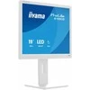 Monitorius iiyama ProLite B1980S-W1