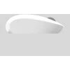 Pelė Inca INCA Pelė IWM-241RB 1200 DPI,CANDY DESIGN 3D Balta, 2,4GHz