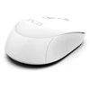 INCA Pelė IWM-243RB 1600 DPI,CANDY DESIGN Wei, 2,4GHz