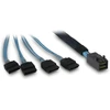 ITT Inter-Tech SFF-8643 – 4x SATA/SAS 0,7 m 12 Gbit/s Mėlyna