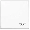 Jung A 590 L WW Wippe mit Licht-Symbol