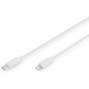 Digitus Skaitmenas | Lightning to USB-C duomenų / įkrovimo kabelis | DB-600109-020-W | USB-C prie Lightning Apple Lightning 8 kontaktų | USB C