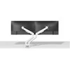 Laikiklis NEOMOUNTS DS70-250WH2 FULL MOTION MONITORIUS ARM DESK MOUNT FOR 17-32" SCREENS - Baltas
