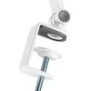 NEOMOUNTS Planšetė DESK CLAMP (SUITED FROM 4,7" UP TO 12.9") Baltas