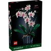 LEGO® Icons Orchidėja (10311)