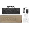 Klaviatūra LENOVO ESSENT.su laidu KEYB/Pelė - AI - GERMAN
