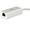 Level One Adapteris USB LevelOne 0402 V4 USB-C - RJ-45 Sidabrinė (USB-0402 V4)