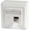 Efb Elektronik EFB EFB duomenų lizdas Cat6a 500MHz BALTA viršuje apačioje paviršinio montavimo 2xRJ45 RAL9010 EA klasė 10Gbit 40 laipsnių lizdas su 6,3 mm įžeminimo antgaliu