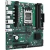 ASUS PRO B650M-CT-CSM, AMD B650 pagrindinė plokštė, AM5 lizdas, DDR5