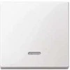 MERTEN 431019 Wippe mit Kontrollfenster polarweiss System M