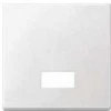 MERTEN 433819 Wippe für Schalter. Symbolfenster pws SYSTEM M